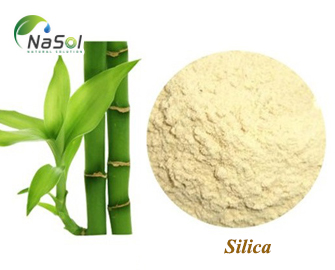 Lợi ích sức khỏe của Silica