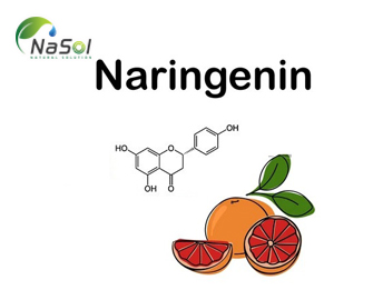 Naringenin là gì? Và các lợi ích với sức khỏe