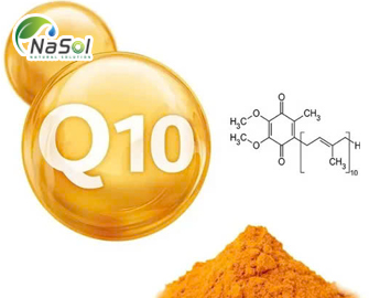 Liposomal Coenzyme Q10 