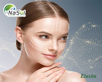 Suy giảm Elastin: nguyên nhân và cách khắc phục 