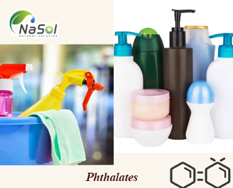 Phthalates là gì? Những ảnh hưởng tới sức khỏe con người