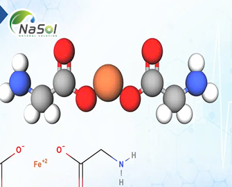 Sắt bisglycinat 