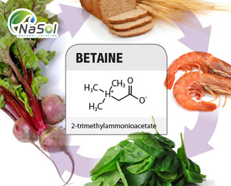 Lợi ích sức khỏe của Betaine