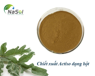 Chiết xuất Actiso dạng bột (Artichoke extract)