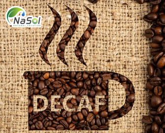 Cà phê Decaf là gì? Những lợi ích sức khỏe