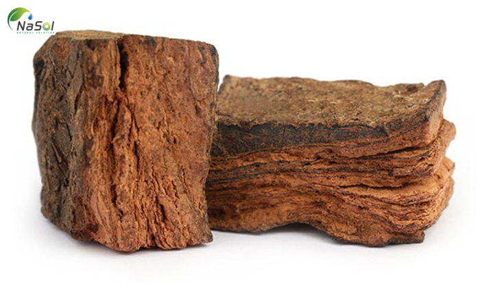 lõi gỗ thân cây keo cao