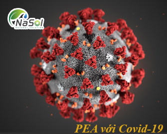 Tác dụng bảo vệ thần kinh khi mắc Covid-19 của PEA