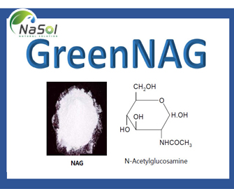 GreenNAG (N-Acetyl glucosamine)