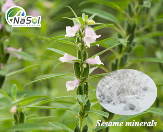 Sesame minerals (Calci từ hạt vừng)