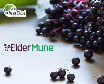 Eldermune (kết hợp Elderberry và Sunfiber)