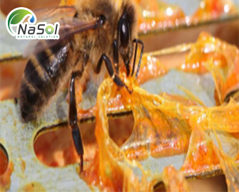 Keo ong (Solubpolis®) 