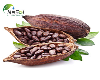 CHOCAMINE®- Nguyên liệu thực thẩm từ hạt Cacao
