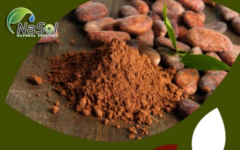Chocamine® được sản xuất từ hạt Cacao