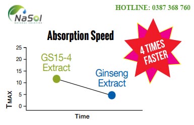 GS 15-4 extract hấp thu ổn định hơn 4 lần so với Ginseng extract
