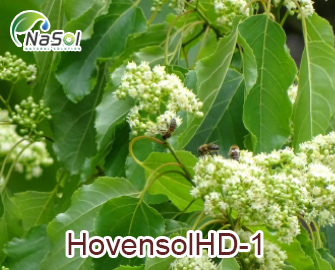 HovensolHD-1