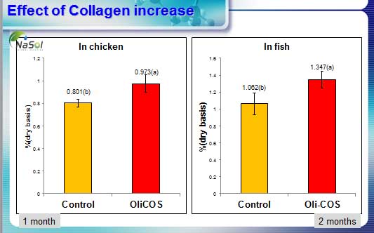 Chitosan (OliCOS®) có tác dụng làm tăng sản sinh collagen nội sinh