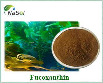 Nguyên liệu Fucoxanthin