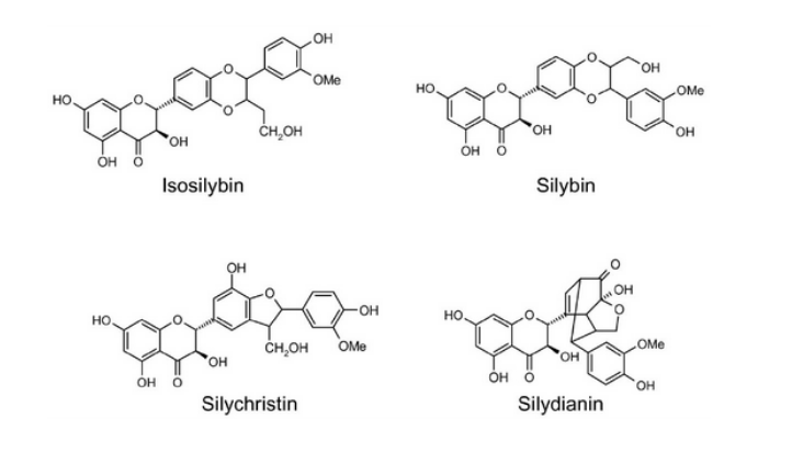 công thức của silymarin phytosome