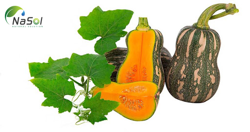 Pumpkin seed oil extract là gì