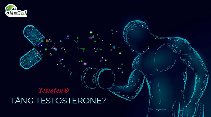 Testofen tăng nồng độ testosterone tự do trong máu