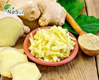 Ginger root powdered extract