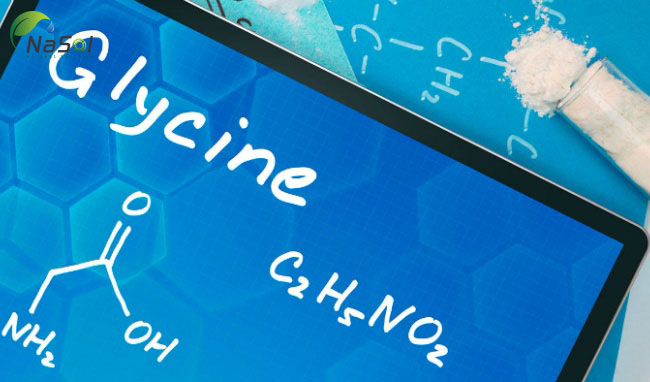 Glycine là gì
