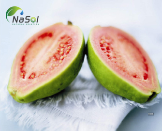 8 lợi ích sức khỏe của Guavas (quả ổi)