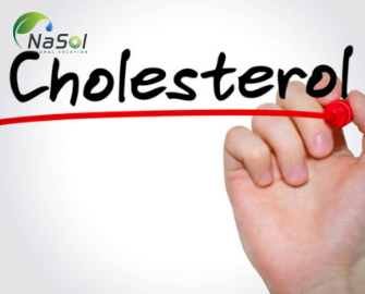 HDL và LDL Cholesterol là gì?