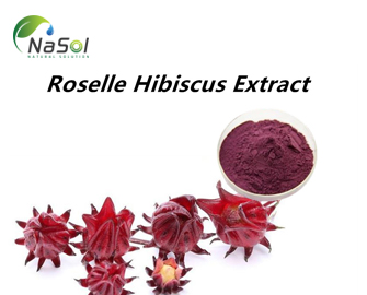Hibiscus sabdariffa extract (Chiết xuất bụp giấm)