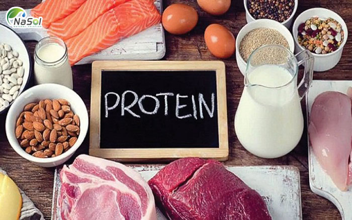 Protein giúp giảm cân hiệu quả như thế nào