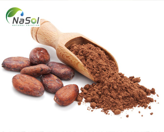 Những lợi ích sức khoẻ từ Cacao