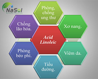 Axit Linoleic liên hợp (CLA)