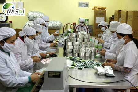 Theo thống kê tại Việt Nam, 90% nguyên liệu sản xuất trong ngành dược cả tân dược và đông dược hiện đều phải nhập khẩu