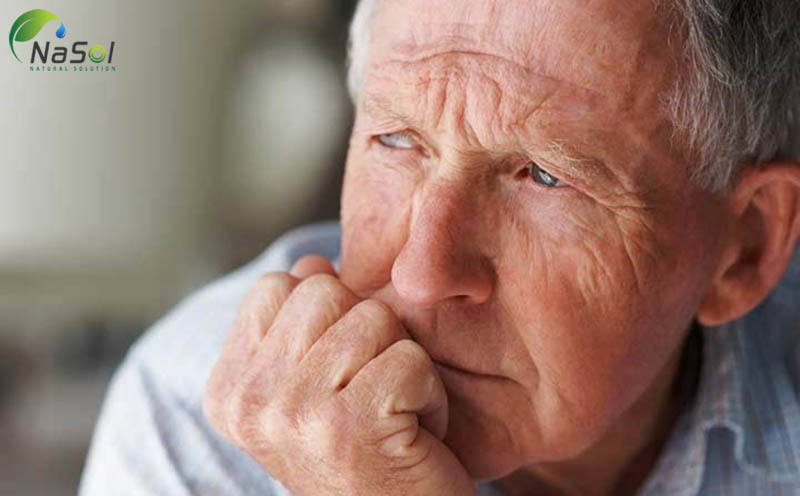 bacopa Điều trị bệnh Alzheimer & Chứng mất trí nhớ