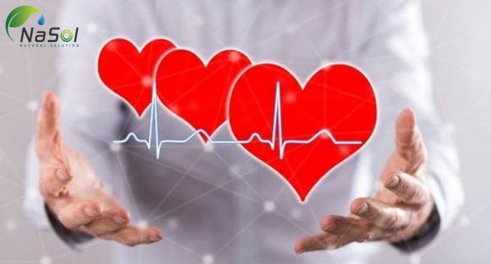 bylberry cải thiện sức khỏe tim mạch