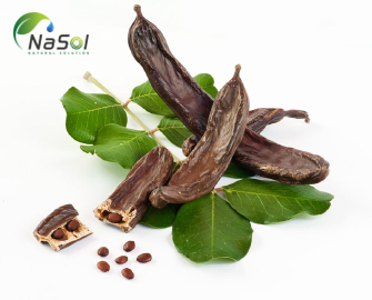 Lợi ích của carob