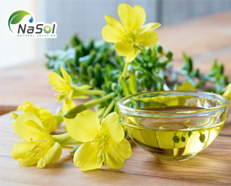 10 lợi ích của dầu hoa anh thảo  (Evening Primrose Oil 9% GLA) và cách sử dụng