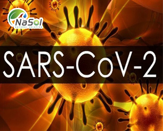 Cơ chế gây bệnh của SARS-CoV-2 (Covid-19)