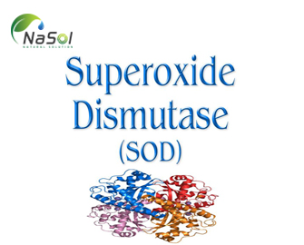 Nguyên liệu Superoxide Dismutase (SOD)