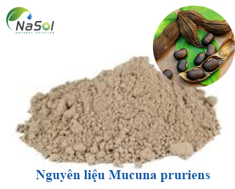 Nguyên liệu Mucuna pruriens