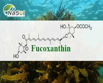 Tác dụng của Fucoxanthin