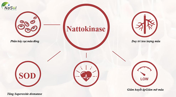 Tác dụng của nattokinase