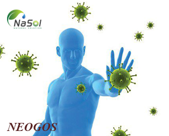 NeoGOS giải pháp tăng cường miễn dịch trong đại dịch Covid-19