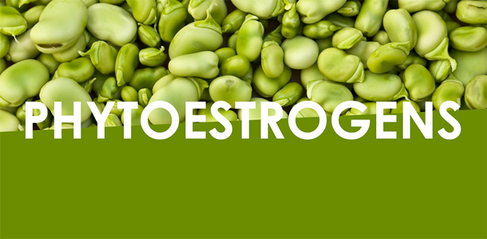 Phytoestrogens là gì