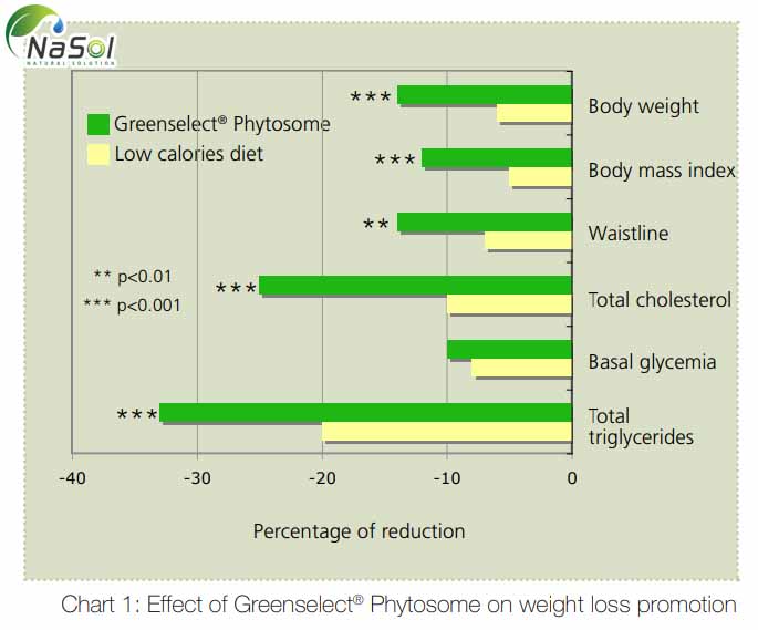 Bảng các chỉ số tham chiếu thể hiện công dụng giảm cân của Green tea phytosome extract