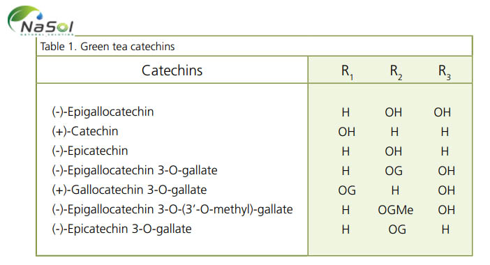 7 loại catechin chính có trong green tea phytosome extract