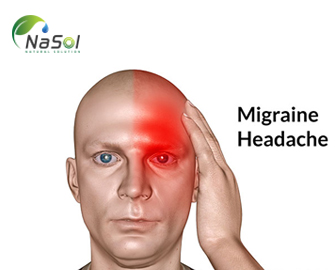 Bệnh đau nửa đầu – Nguyên nhân, triệu chứng - Nguyên liệu Nasol