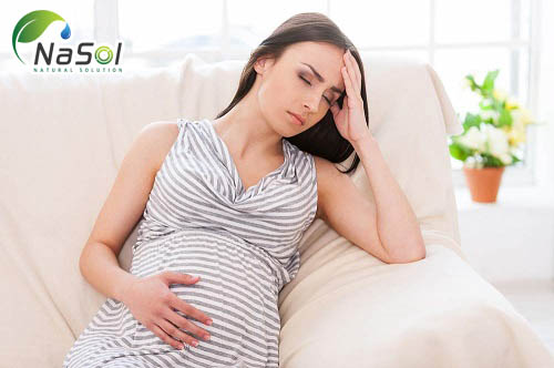 Hồng sâm gây nhức đầu ở phụ nữ mang thai
