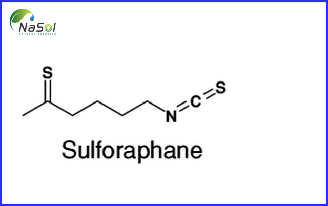 sulforaphane và isothiocyanate có tác dụng chống các gốc tự do