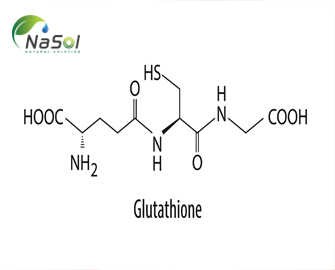 15 tác dụng có lợi cho sức khỏe của Glutathione - Nguyên liệu Nasol 